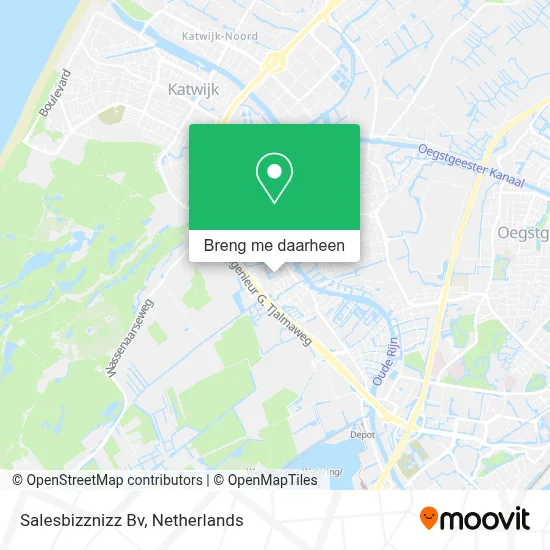 Salesbizznizz Bv kaart
