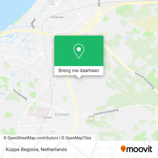 Koppe Begonia kaart
