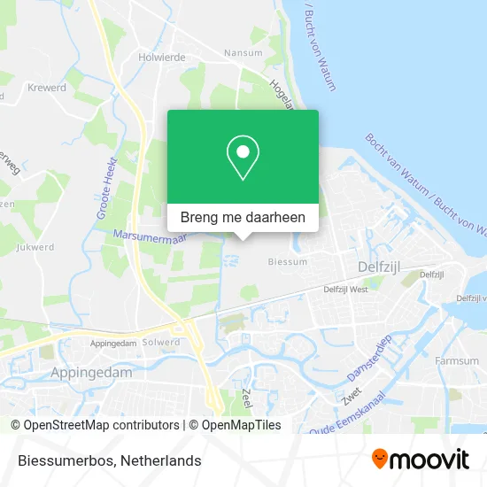 Biessumerbos kaart