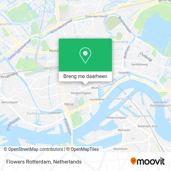 Flowers Rotterdam kaart
