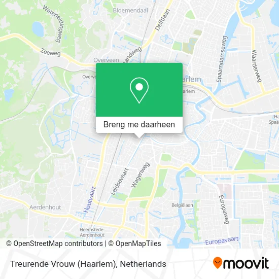 Treurende Vrouw (Haarlem) kaart