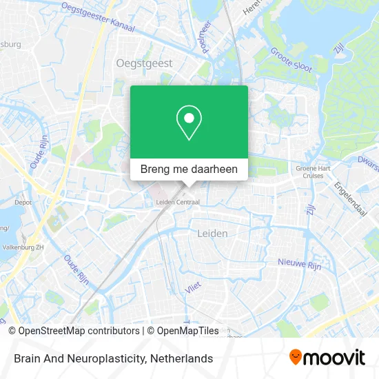 Brain And Neuroplasticity kaart