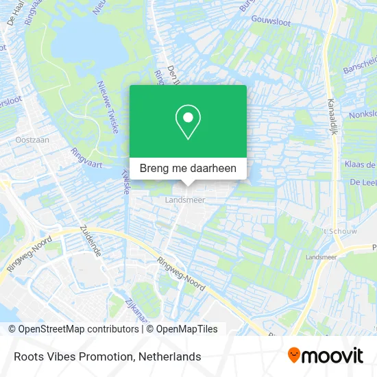 Roots Vibes Promotion kaart