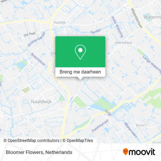Bloomer Flowers kaart