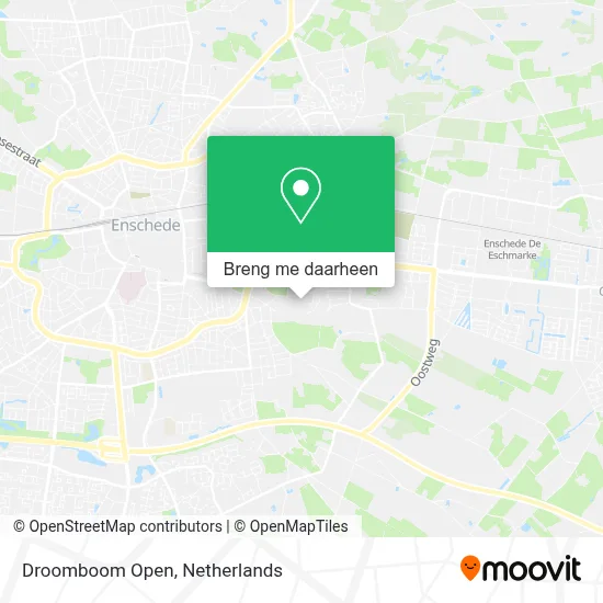 Droomboom Open kaart