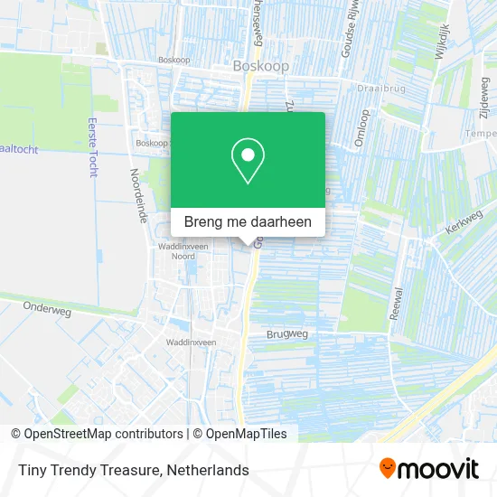 Tiny Trendy Treasure kaart