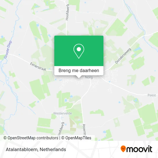 Atalantabloem kaart