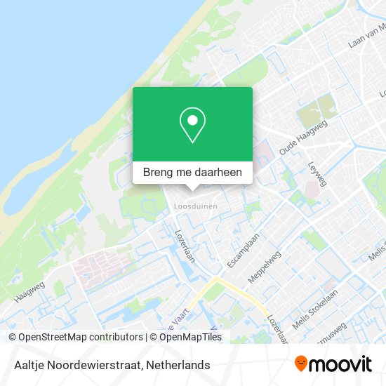 Aaltje Noordewierstraat kaart