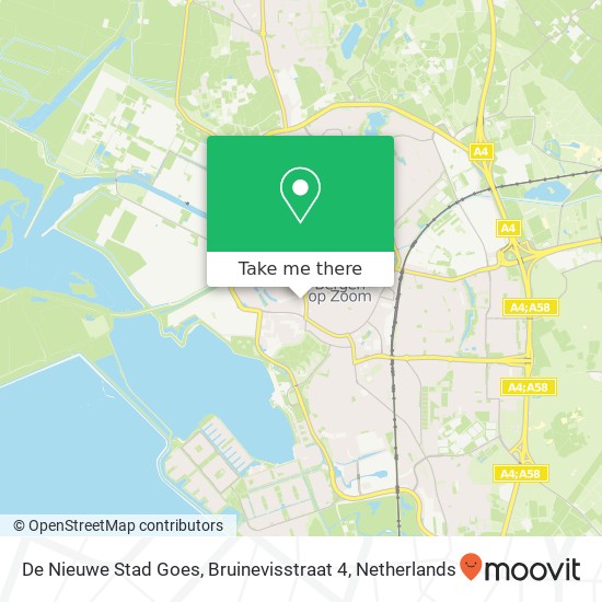 De Nieuwe Stad Goes, Bruinevisstraat 4 kaart