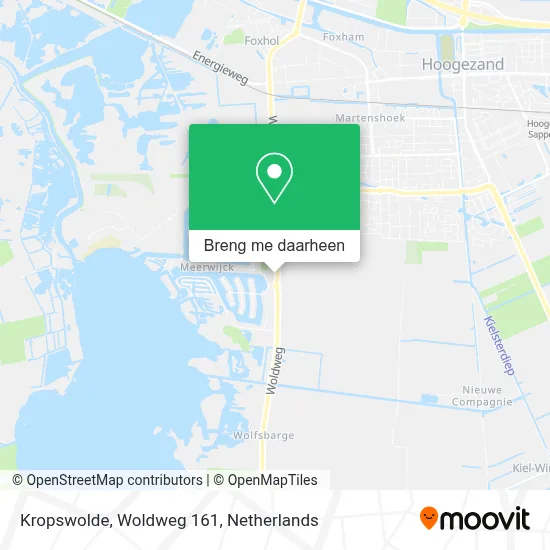 Kropswolde, Woldweg 161 kaart