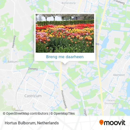 Hortus Bulborum kaart