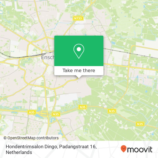 Hondentrimsalon Dingo, Padangstraat 16 kaart