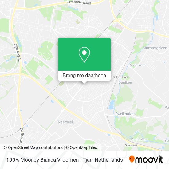 100% Mooi by Bianca Vroomen - Tjan kaart