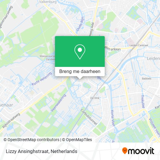 Lizzy Ansinghstraat kaart