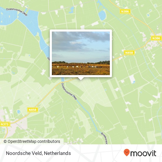 Noordsche Veld kaart