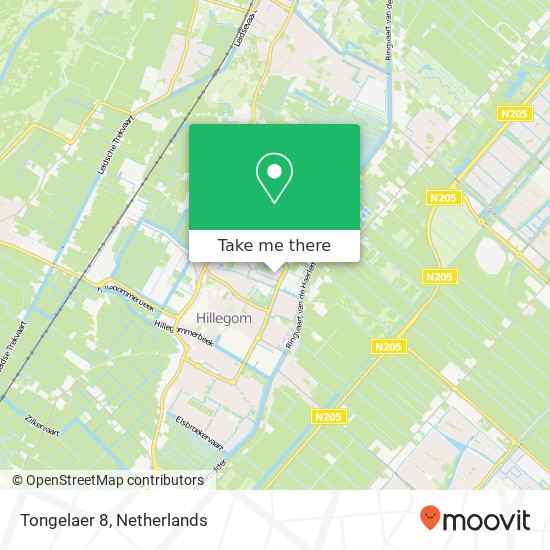 Tongelaer 8, Tongelaer 8, 2181 LE Hillegom, Nederland kaart
