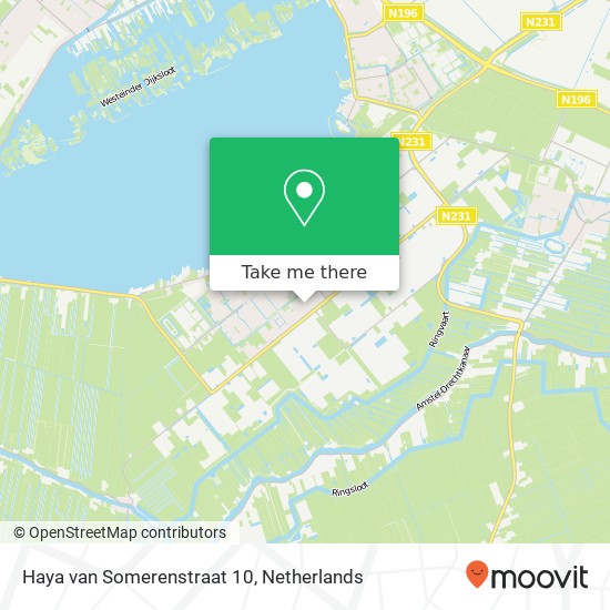 Haya van Somerenstraat 10, 1433 PB Kudelstaart kaart