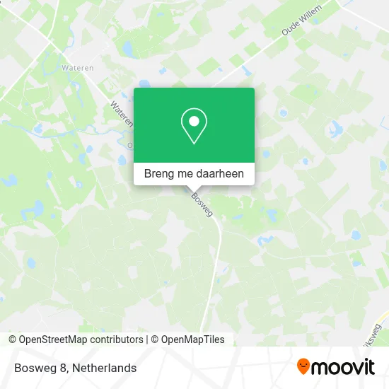 Bosweg 8, 8439 SN Oude Willem kaart