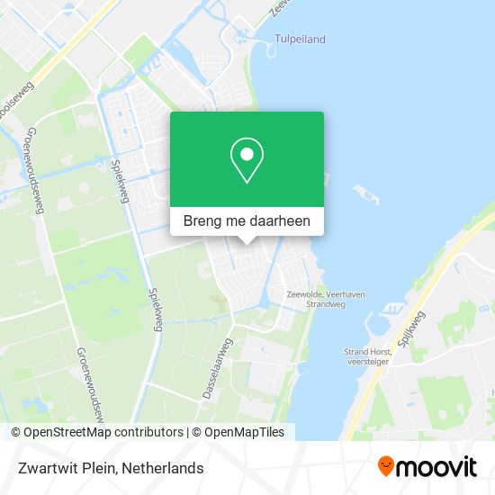 Zwartwit Plein kaart