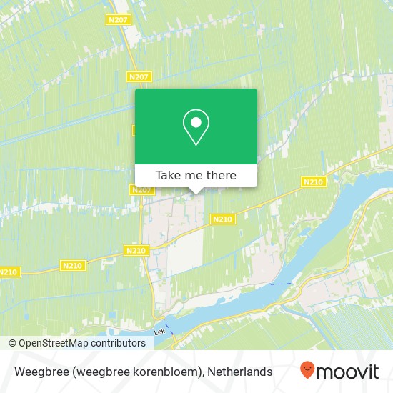 Weegbree (weegbree korenbloem), 2861 WT Bergambacht kaart