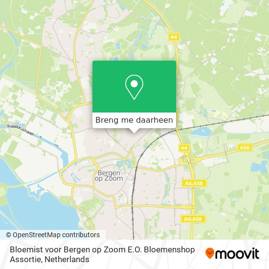 Bloemist voor Bergen op Zoom E.O. Bloemenshop Assortie kaart