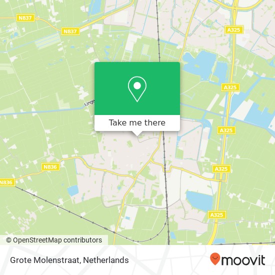 Grote Molenstraat, 6661 XP Elst kaart