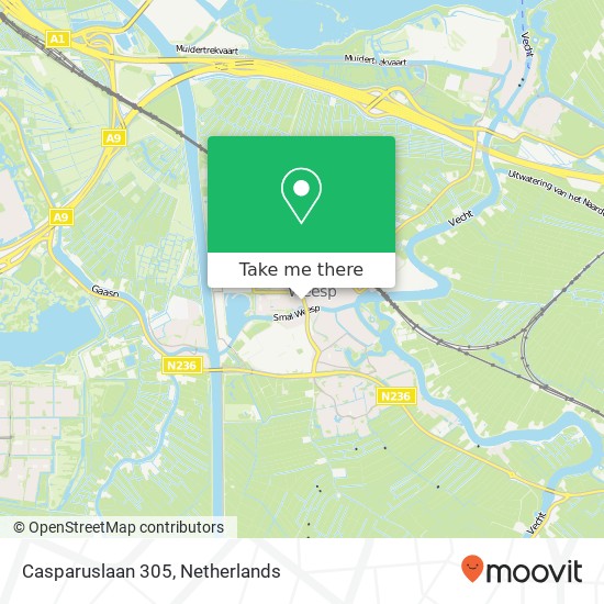 Casparuslaan 305, 1382 KE Weesp kaart