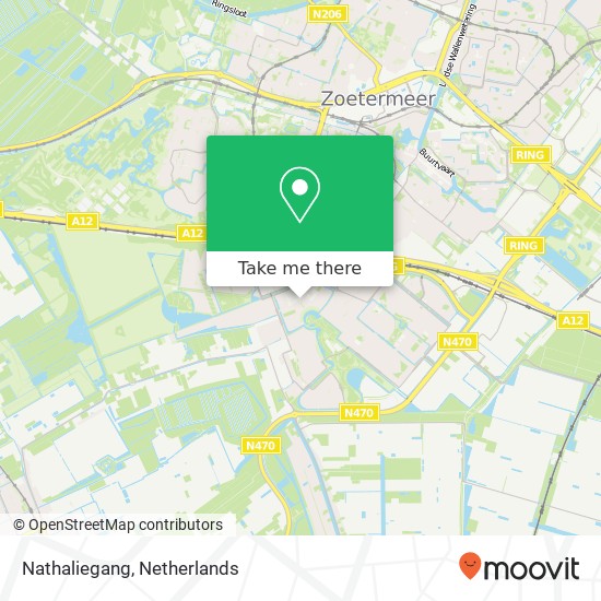 Nathaliegang, Nathaliegang, 2719 Zoetermeer, Nederland kaart