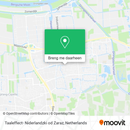 Taaleffect- Niderlandzki od Zaraz kaart