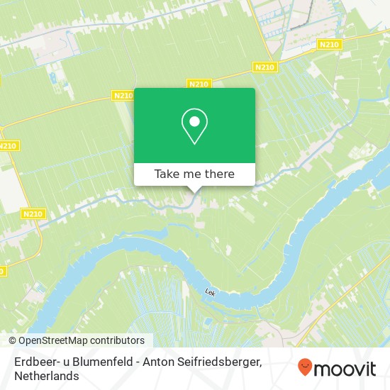Erdbeer- u Blumenfeld - Anton Seifriedsberger kaart