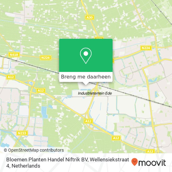 Bloemen Planten Handel Niftrik BV, Wellensiekstraat 4 kaart