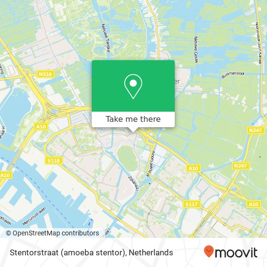 Stentorstraat (amoeba stentor), 1035 VK Amsterdam kaart