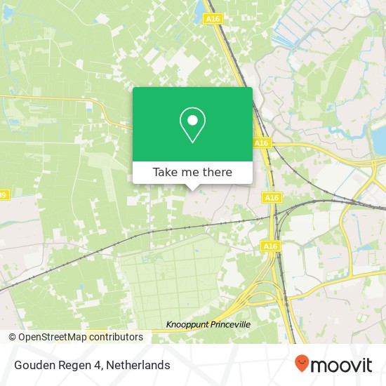 Gouden Regen 4, 4841 LS Prinsenbeek kaart