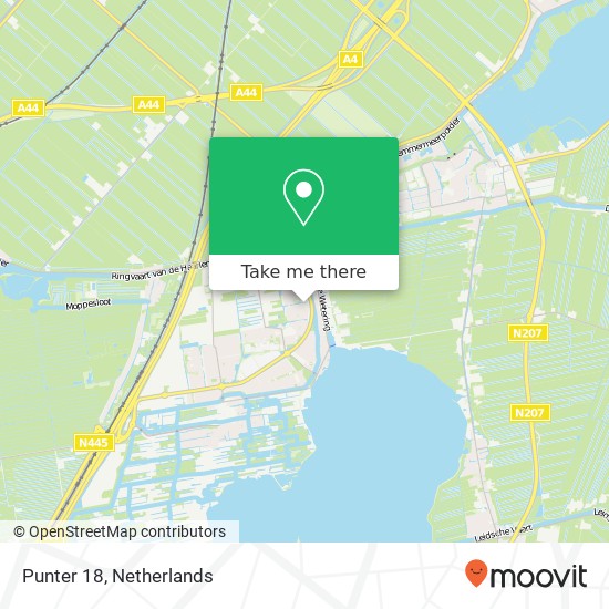 Punter 18, 2377 CX Oude Wetering kaart