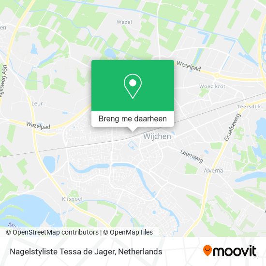 Nagelstyliste Tessa de Jager kaart
