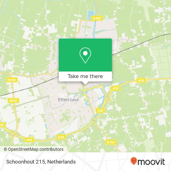 Schoonhout 215, Schoonhout 215, 4872 MC Etten-Leur, Nederland kaart