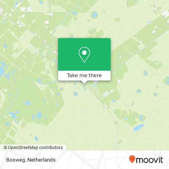 Bosweg, 8439 Oude Willem kaart