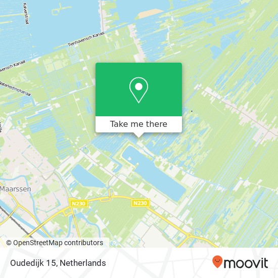 Oudedijk 15, 3612 AD Tienhoven kaart