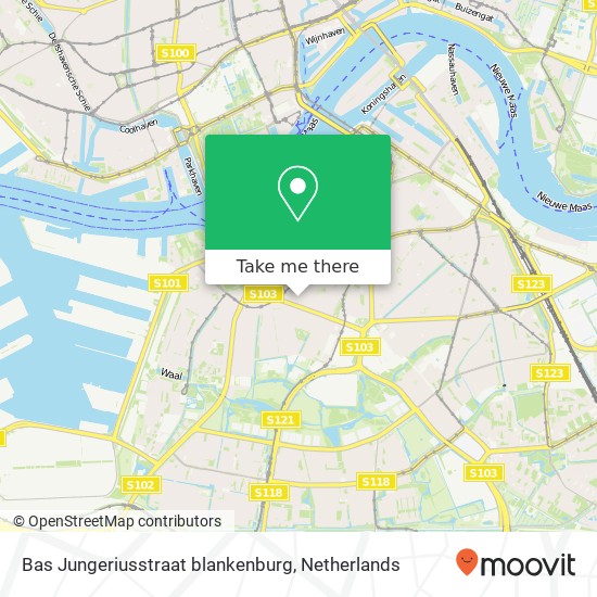 Bas Jungeriusstraat blankenburg, 3081 VN Rotterdam kaart
