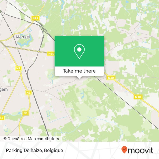 Parking Delhaize kaart