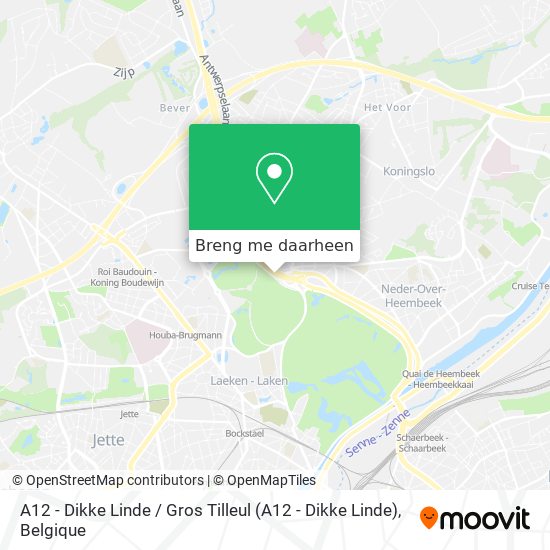 A12 - Dikke Linde / Gros Tilleul kaart