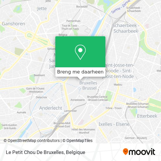 Le Petit Chou De Bruxelles kaart