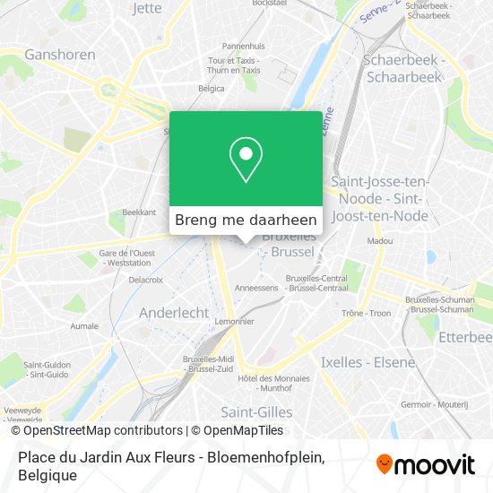 Place du Jardin Aux Fleurs - Bloemenhofplein kaart