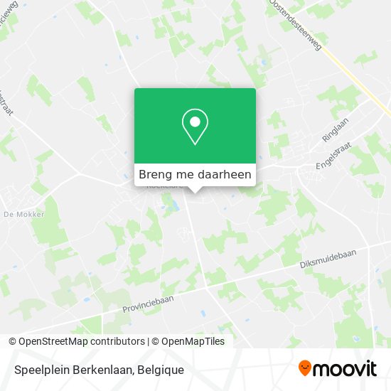 Speelplein Berkenlaan kaart