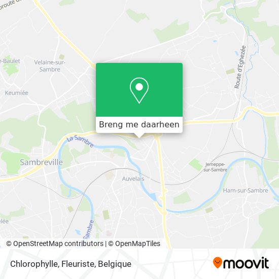Chlorophylle, Fleuriste kaart