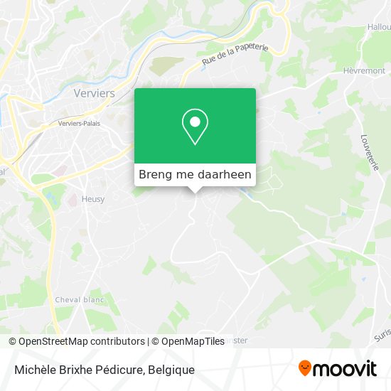 Michèle Brixhe Pédicure kaart