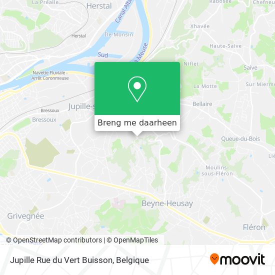 Jupille Rue du Vert Buisson kaart