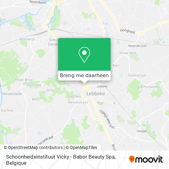 Schoonheidsinstituut Vicky - Babor Beauty Spa kaart