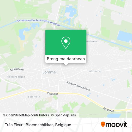 Très Fleur - Bloemschikken kaart