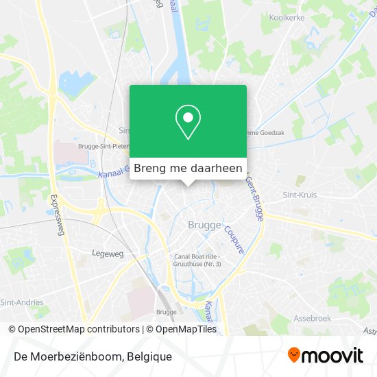 De Moerbeziënboom kaart